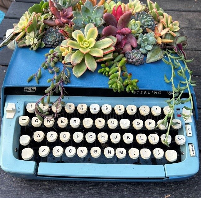 How to Handle Negative Book Reviews on Amazon (And Find Gratitude for the Trolls!)