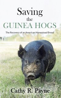 Saving the Guinea Hogs