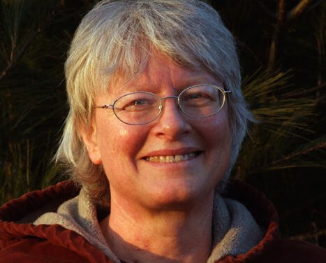 What About the Index? by Sue Klefstad