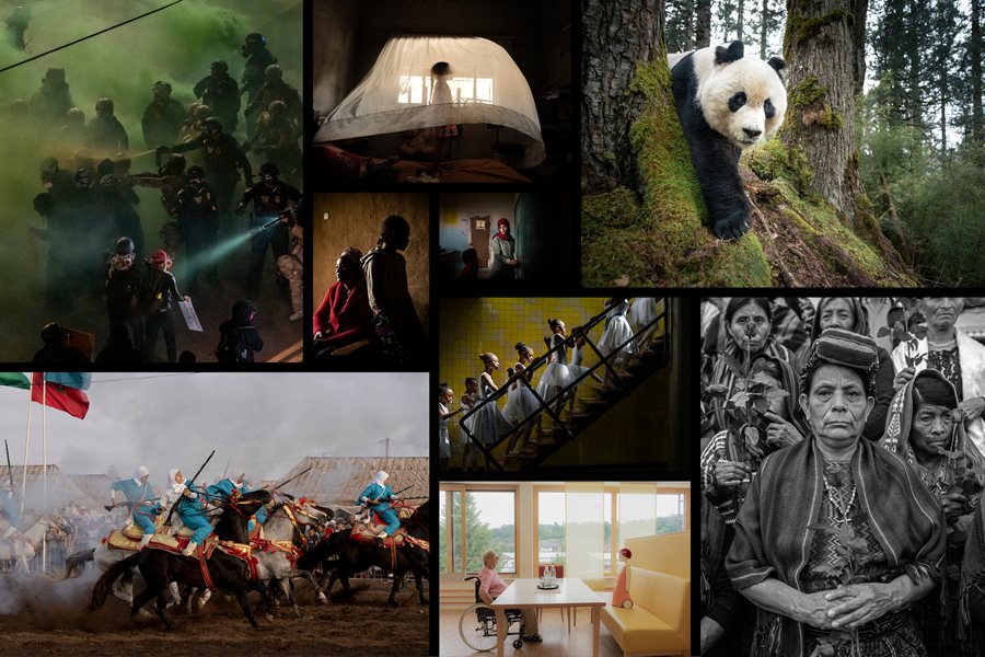 View all awarded photos and stories
