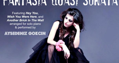 Aysedeniz Gokcin pink floyd liszt